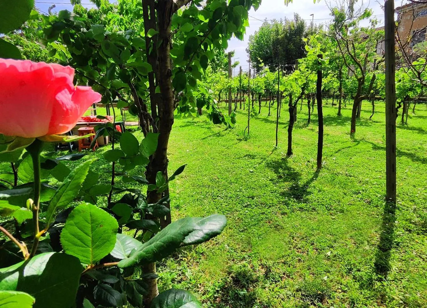 Bed & Breakfast Bed and Breakfast Relais Antica Romelia Montichiari