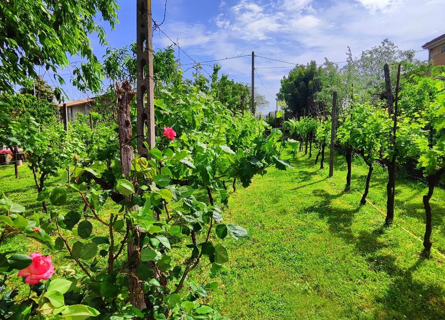 Bed and Breakfast Relais Antica Romelia Montichiari 0*,